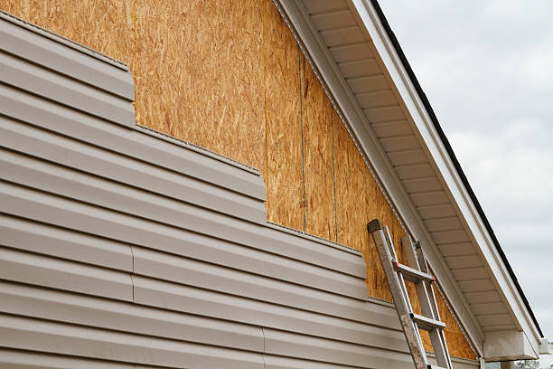 Professional Siding Repair technician working in Cameron, TX
